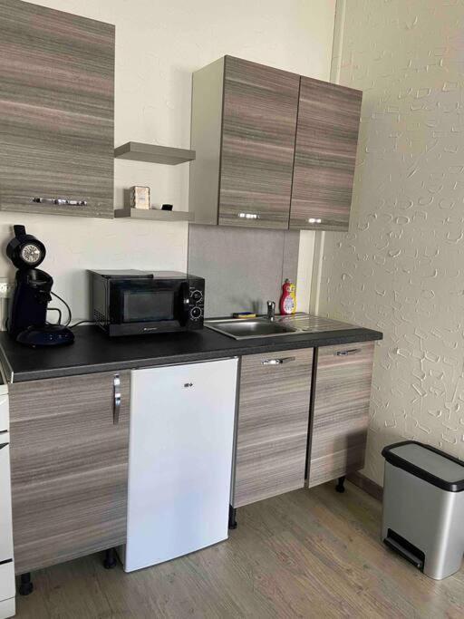 Studio Spacieux Proche Du Centre Ville Montceau-les-Mines Extérieur photo